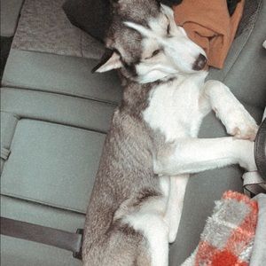 Meet your Posher, Larissa